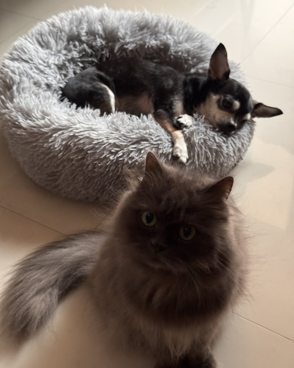 stfuteeej's tweet photo. home https://t.co/ZrhZdhThWV