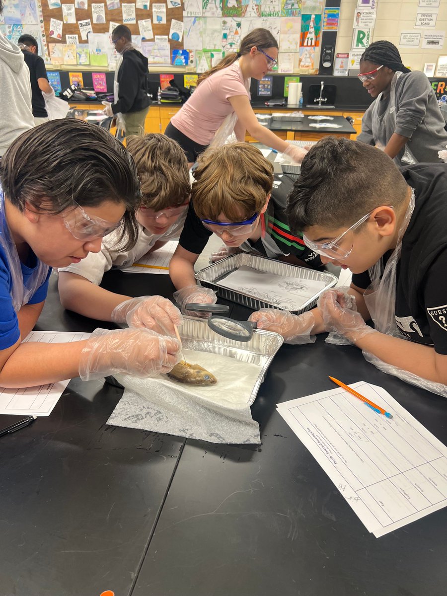 Our 6th graders dove into life science this week—literally.
Between dissecting perch and sea lampreys, they learned all about anatomy… and how strong the smell of fish can be in a classroom!