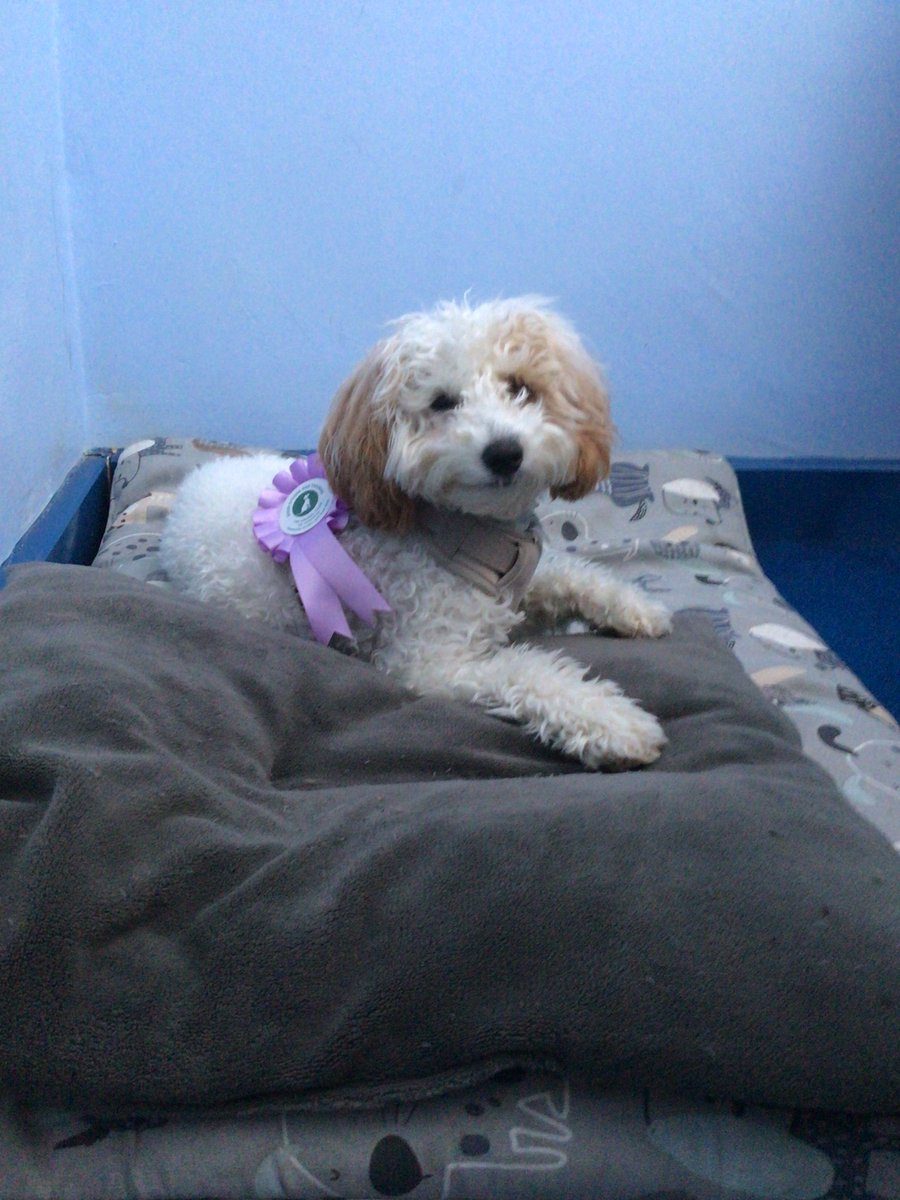 LSEATEndeavourAcademy tweet media