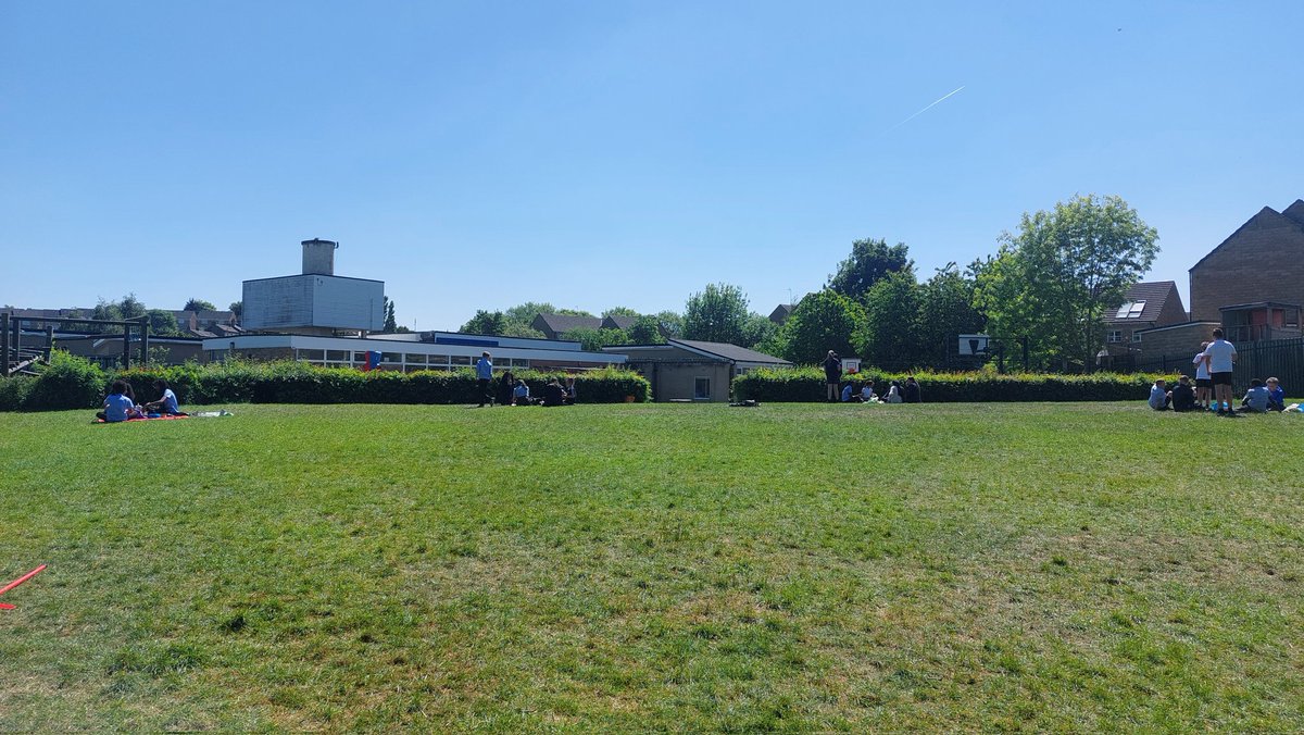 Our Lady of Lourdes tweet media