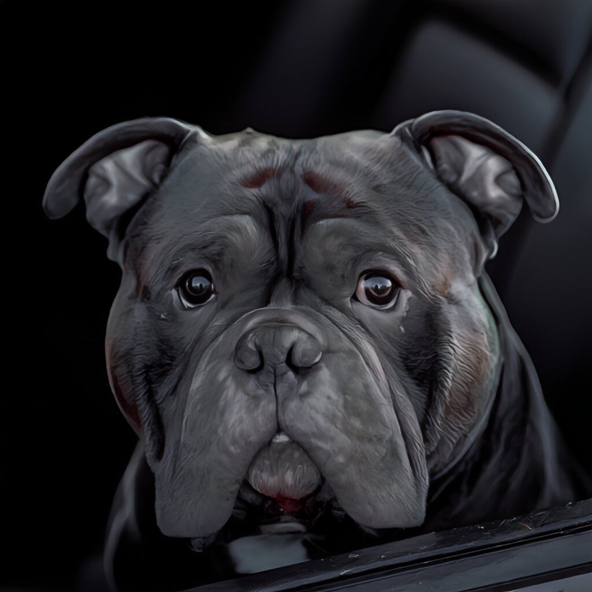 squish_biscuit's tweet photo. We need more vehicles with #DogMode https://t.co/jMLag6pAGq