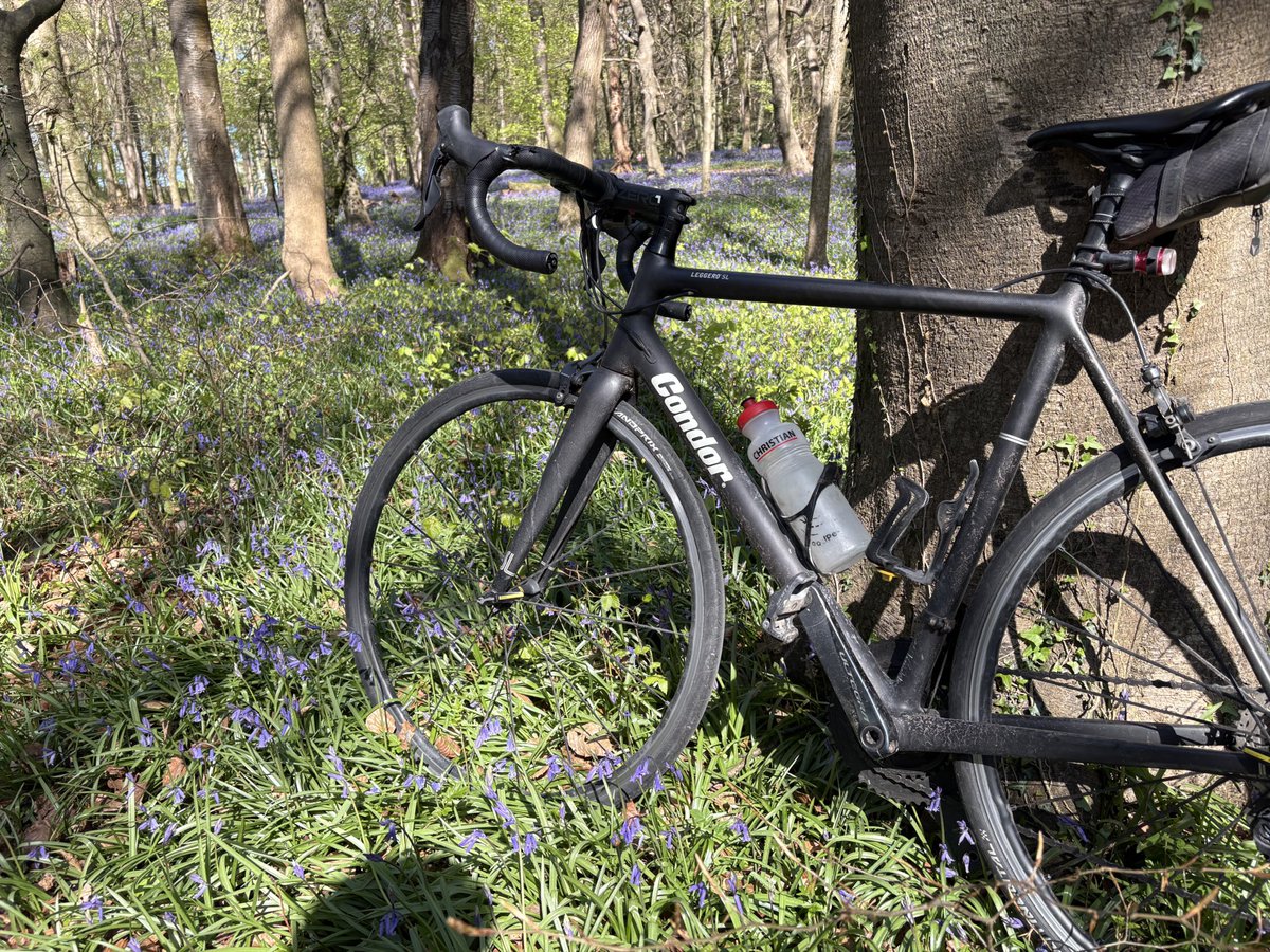 Martin Porter KC tweet media