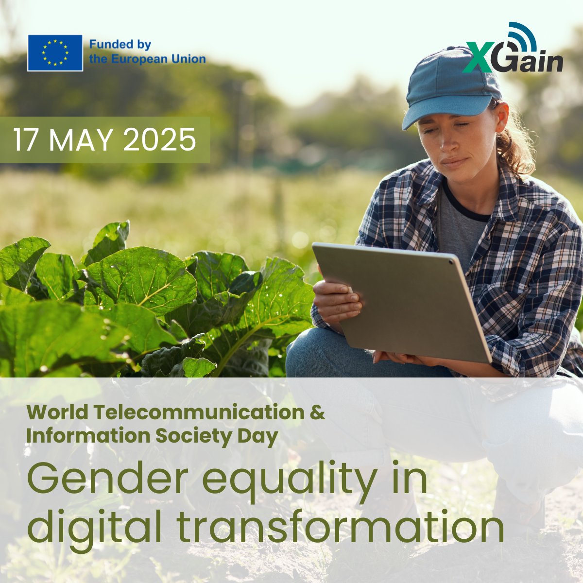 XGain Project tweet media