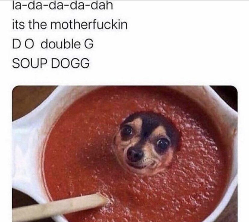 WholesomeMemes tweet media