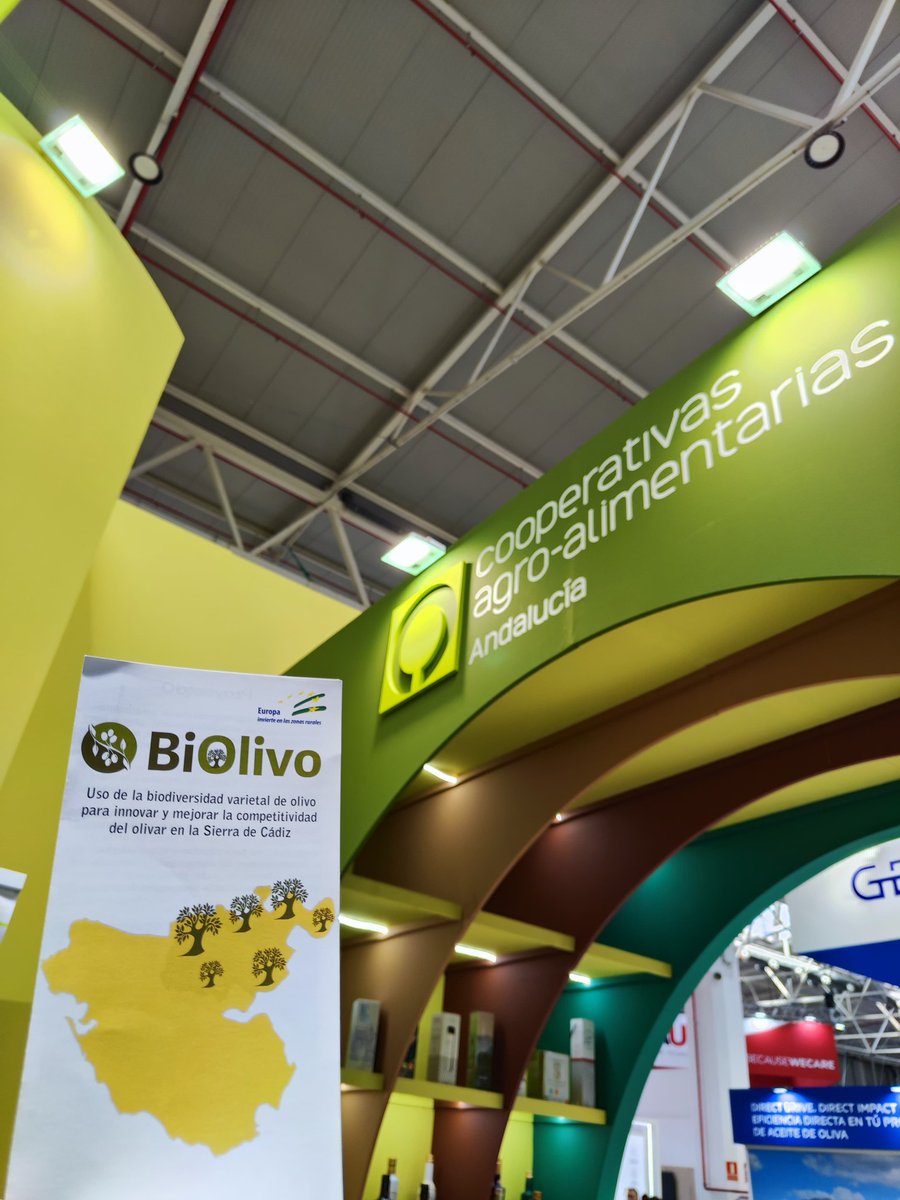 CoopsAgroAND's tweet photo. 🙌El GO #Biolivo, también ha dejado huella en @ExpolivaOficial, uno de los eventos de mayor referencia en el sector oleícola.

👉 Ana Jiménez, de la @univcadiz , ha presentado los objetivos y avances del proyecto.

#CoopsAgroAND @jf_remedios @diputacioncadiz @eucapnetwork