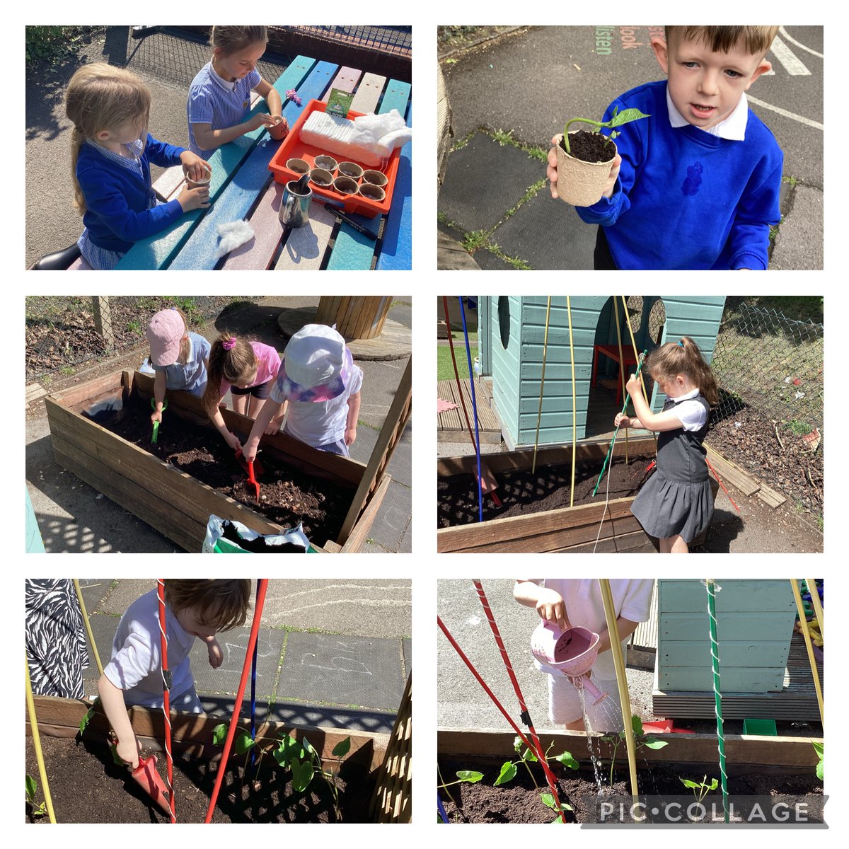 Reception/1K have had lots of fun over the past few weeks planting different seeds and watching them grow! We have talked about how to look after plants and have grown some lovely things to eat! #healthyconfidentindividuals