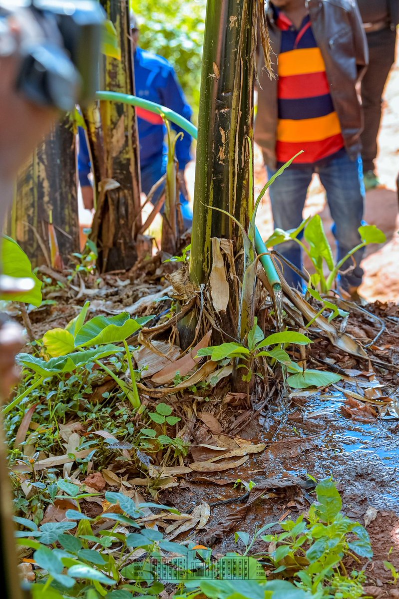 NtareHouse's tweet photo. S.E @GeneralNeva a visité, dans la vallée située entre Karera I et II à  @Gitega, le jeune Cedric Nkurunziza qui exécute un projet d'irrigation avec pompe sans carburant, en utilisant la gravité.
Il l'a encouragé à développer sa technologie pour irriguer de plus vastes espaces. https://t.co/nHzyOw61nF