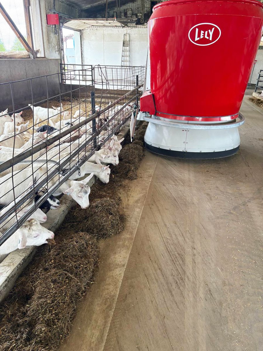 GRRobotics's tweet photo. This week we fired up another #LelyVector at a goat farm, this time at Kempen Farms!
This project features a Lely Vector M2 with a bridge & crane located in a separate feeding kitchen located near the barn.
Congrats to the Voster family!
#Grandriverrobotics #Lely #OntarioGoats https://t.co/n61D0LoHV4