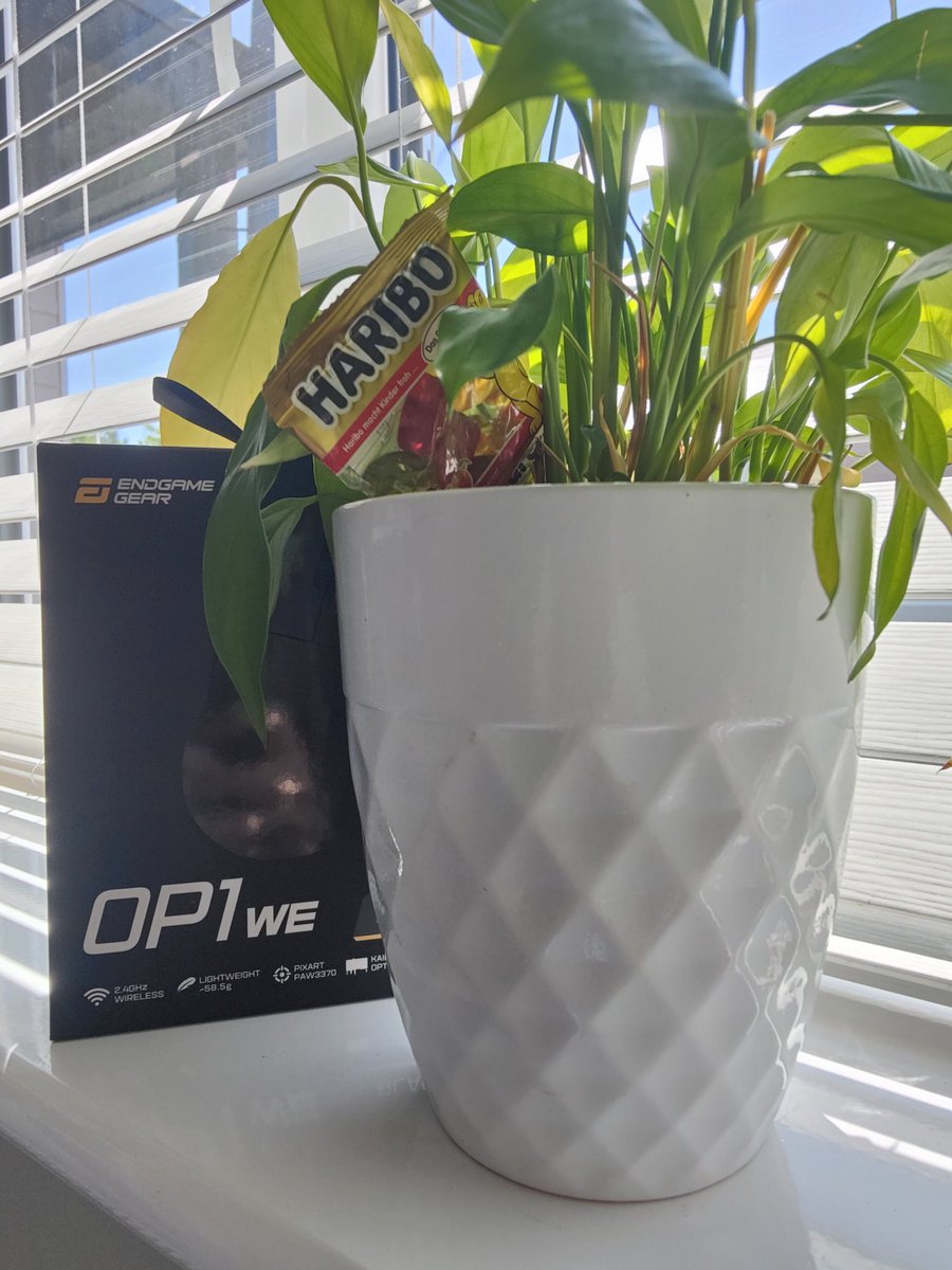 BearUnlucky_'s tweet photo. Something's in the wild at a steal of a price thank you for the Haribo and the deal @OverclockersUK 🤙 @endgamegear #OP1 #OP1WE 
inc endgame?? https://t.co/8HJazsC7Qj