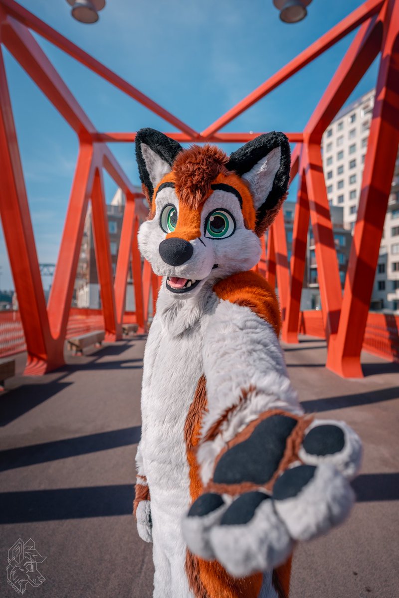 Fox got bridged 🌉

📷: <a href="/vlaaacek/">VlaceK</a>