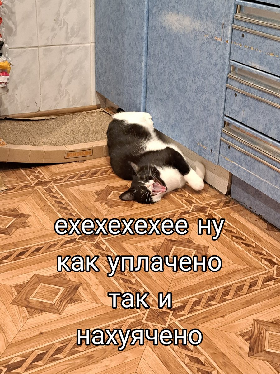 Enotello_'s tweet photo. По мотивам моего нового любимого тренда в тикитоке https://t.co/lFud7wGQmH