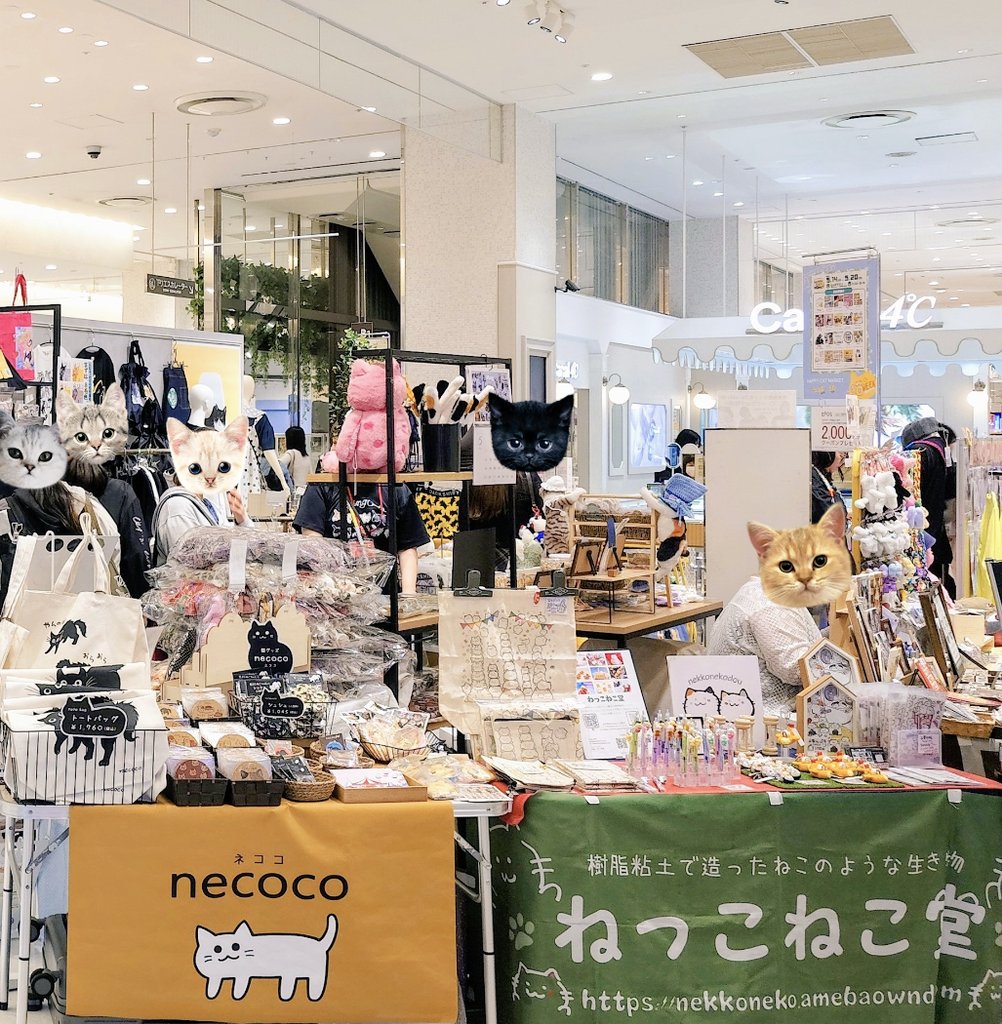 necoco(猫グッズ店@奈良) on X