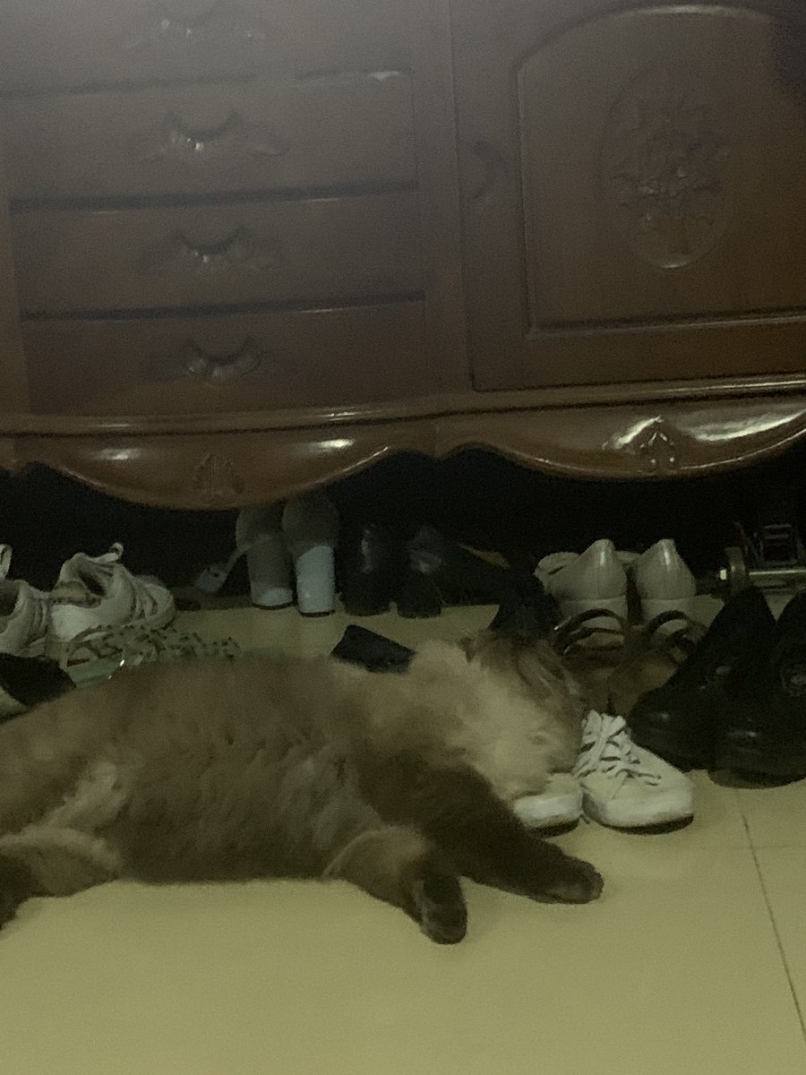 yellowcippo's tweet photo. miki obsession with shoes needs to be studied https://t.co/4AftCMShH5