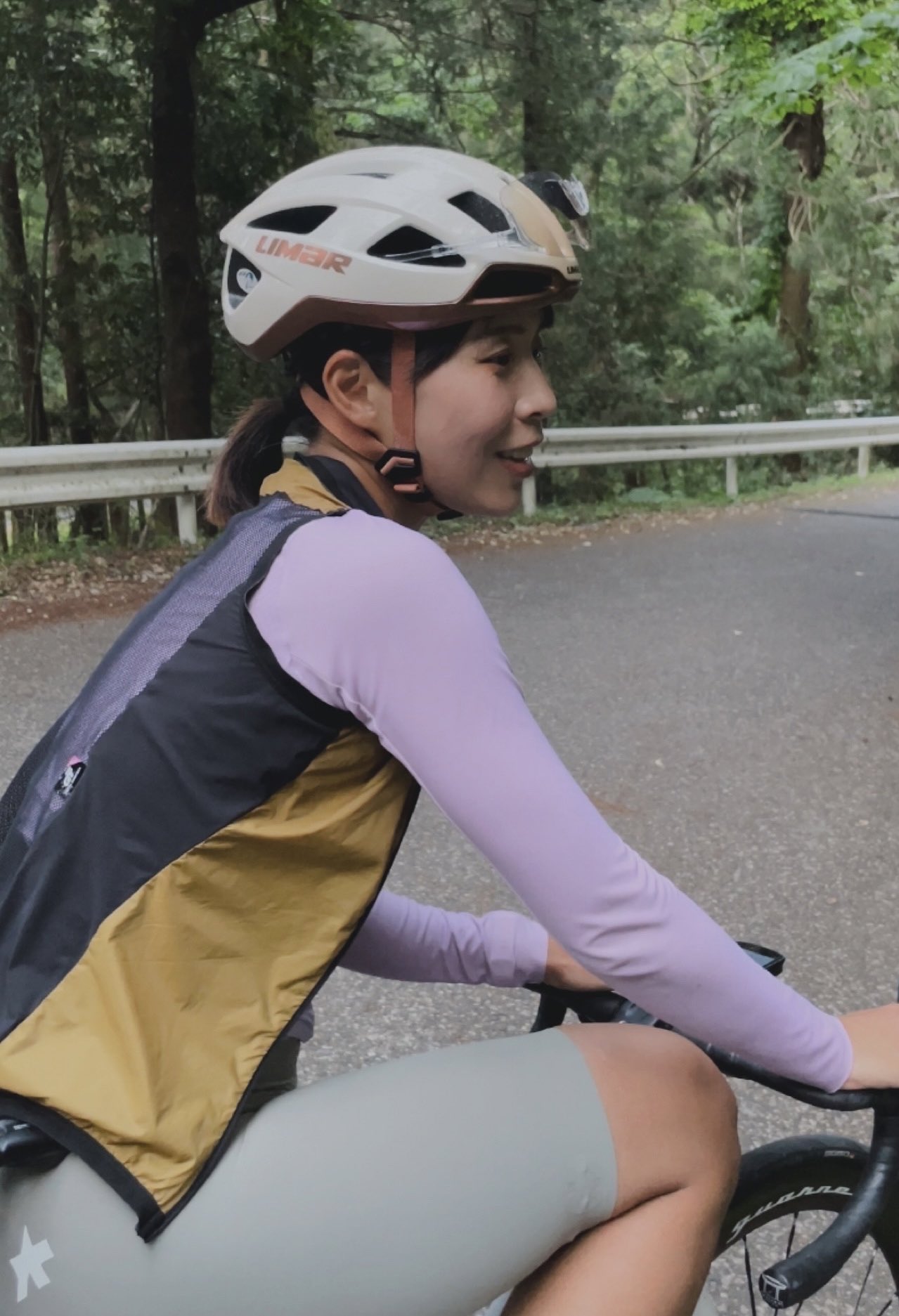 篠ページです！！！ 安全靴 （先芯あり） マジック ローカット ジーベックXEBEC