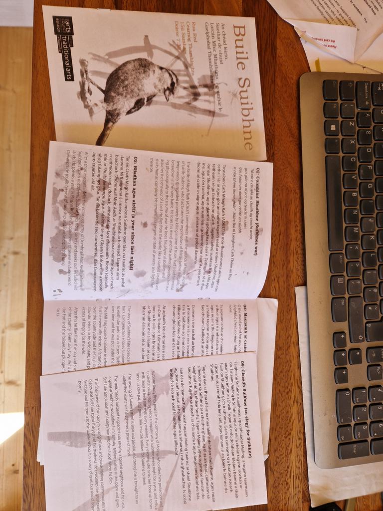 Buile Suibhne. Sceal iontach faoi an meabhairgheilt a chuireas i láthair roint blianta ó shin i gcomhphobal le <a href="/GThamhlachta/">Gaelphobal Thamhlachta</a>