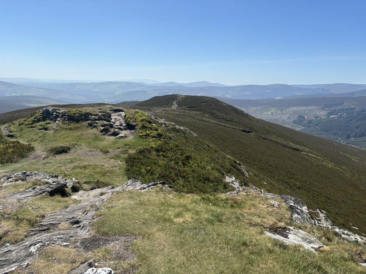Becca3Artach's tweet photo. Fantastic run followed by a dip in the river, listening to the birds. Incredibly dry on the hills. #Scarr #wicklowmountains #trailrunning #happiness https://t.co/kbuGIY8Rgc