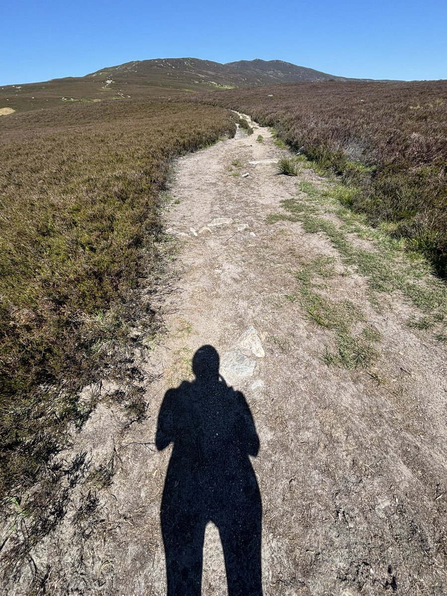 Becca3Artach's tweet photo. Fantastic run followed by a dip in the river, listening to the birds. Incredibly dry on the hills. #Scarr #wicklowmountains #trailrunning #happiness https://t.co/kbuGIY8Rgc