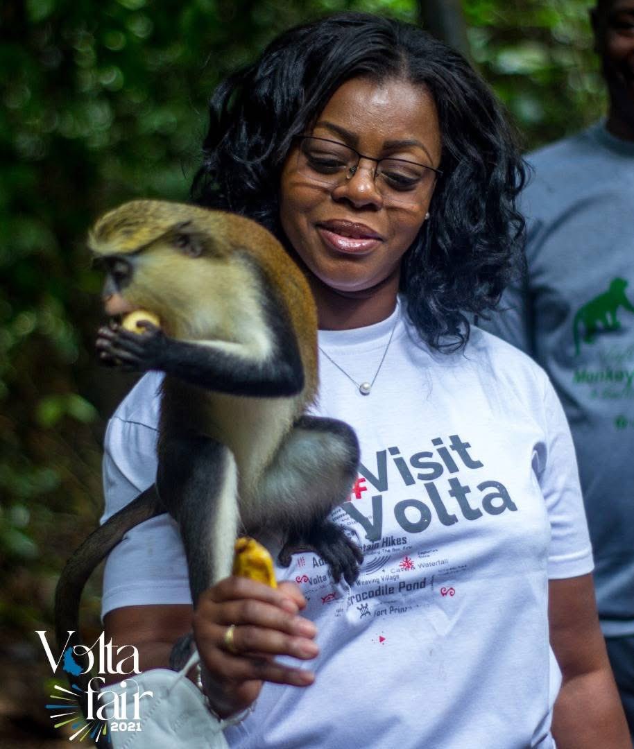 Visit Volta tweet media