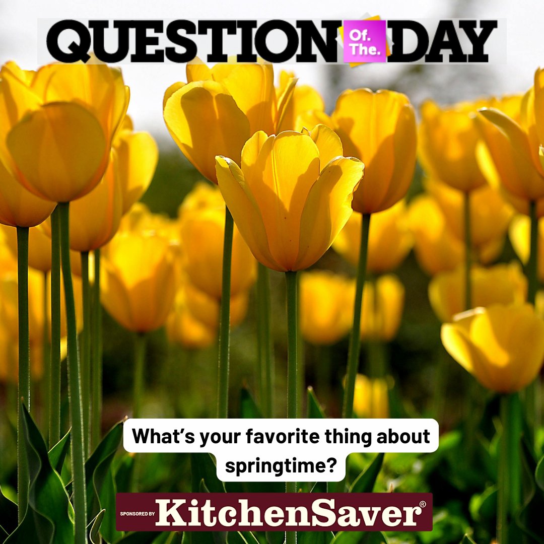 QUESTION OF THE DAY: What’s your favorite thing about springtime?

Comment your answer below!
