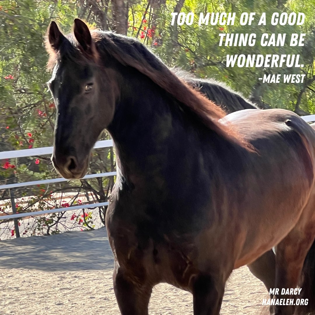 Hanaeleh (@hanaeleh) on Twitter photo 