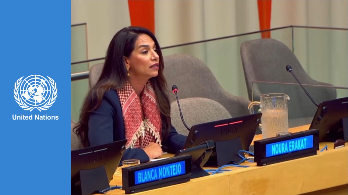 Commemorating the 77th anniversary of the start of the ongoing Nakba, Jadaliyya Co-Editor <a href="/4noura/">Noura Erakat</a>  addressed the UN. During the address, Erakat  highlighted the shortcomings of international law in stopping Israel's ongoing genocide against the Palestinian people in Gaza while