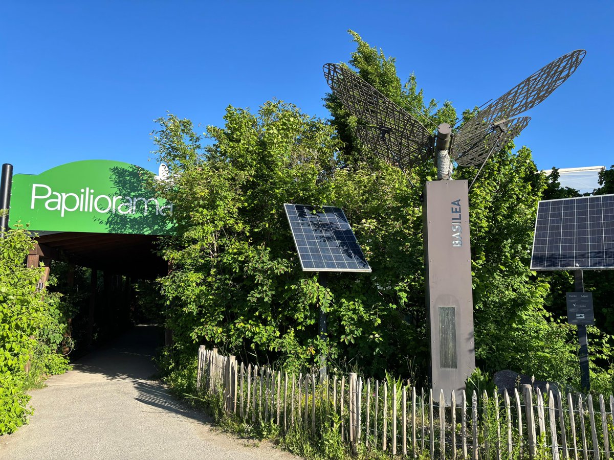 TalentisLAB's tweet photo. 🌿 Et si la nature inspirait notre manière de travailler ?
Aujourd’hui, notre coach @SabineGasser1 est au Symposium sur les jardins naturels au #Papiliorama.
🤝 Projet de l'association Wild &amp; Schön accompagné par @TalentisLAB 
#coachin #biodiversité https://t.co/a0JV5jCH1F