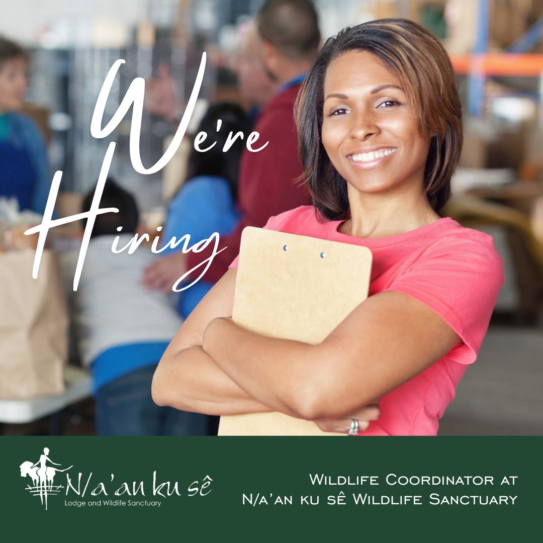 An exciting and challenging opportunity is available for a Wildlife Coordinator to join our team. The successful incumbent will be based at the N/a’an Ku Sê Wildlife Sanctuary, Farm Frauenstein No. 277, Khomas District, Windhoek, Namibia.

naankuse.org/careers