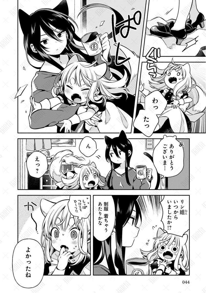 (10/11)😼🐱😸😽😺😾😻😿😸😸 