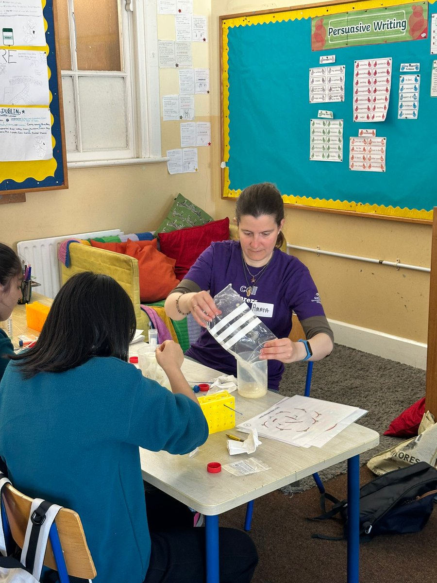 FutureNeuro Centre (@futureneuro_ie) on Twitter photo 🚀Today our #CellExplorers team, led by Dr Amaya Sanz Rodriguez & Dr <a href="/MonaHeiland/">Mona Heiland</a>, brought hands-on science to St Enda’s NS!
🧬45 curious 5th & 6th class students extracted real banana DNA & learned about cutting-edge research at #FutureNeuro. Thanks for the warm welcome! 🚀Today our #CellExplorers team, led by Dr Amaya Sanz Rodriguez & Dr <a href="/MonaHeiland/">Mona Heiland</a>, brought hands-on science to St Enda’s NS!
🧬45 curious 5th & 6th class students extracted real banana DNA & learned about cutting-edge research at #FutureNeuro. Thanks for the warm welcome!