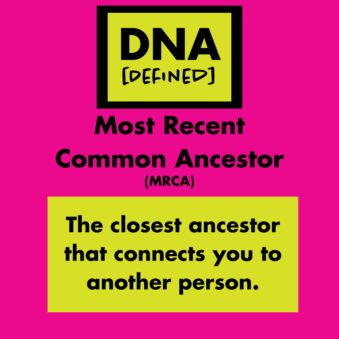 Think of your family tree like a staircase. You and your DNA match walk up. The first shared landing you reach, where your common ancestor stands, is your MRCA. You might take 3 steps, they take 5, but you meet on that same landing. #geneticgenealogy #DNA