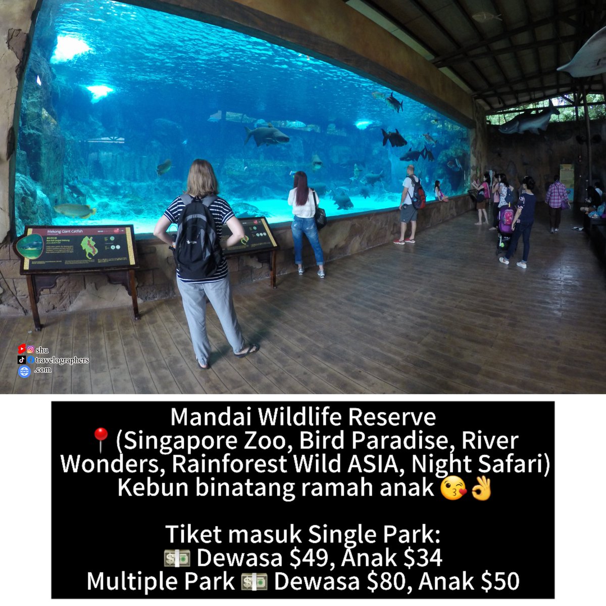 travelographers's tweet photo. Kamu ada rekomendasi tempat lain untuk di kunjungi di Singapura? https://t.co/NFlP2SL9Vq