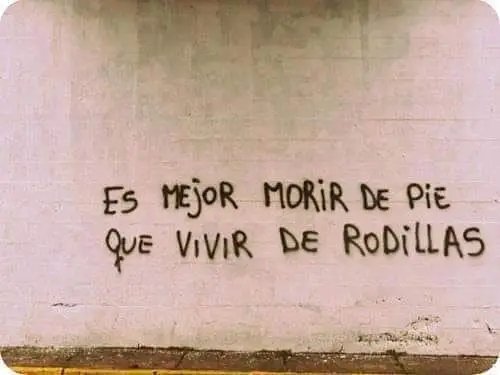 Banderazos Callejeros (@banderazoscjs) on Twitter photo 