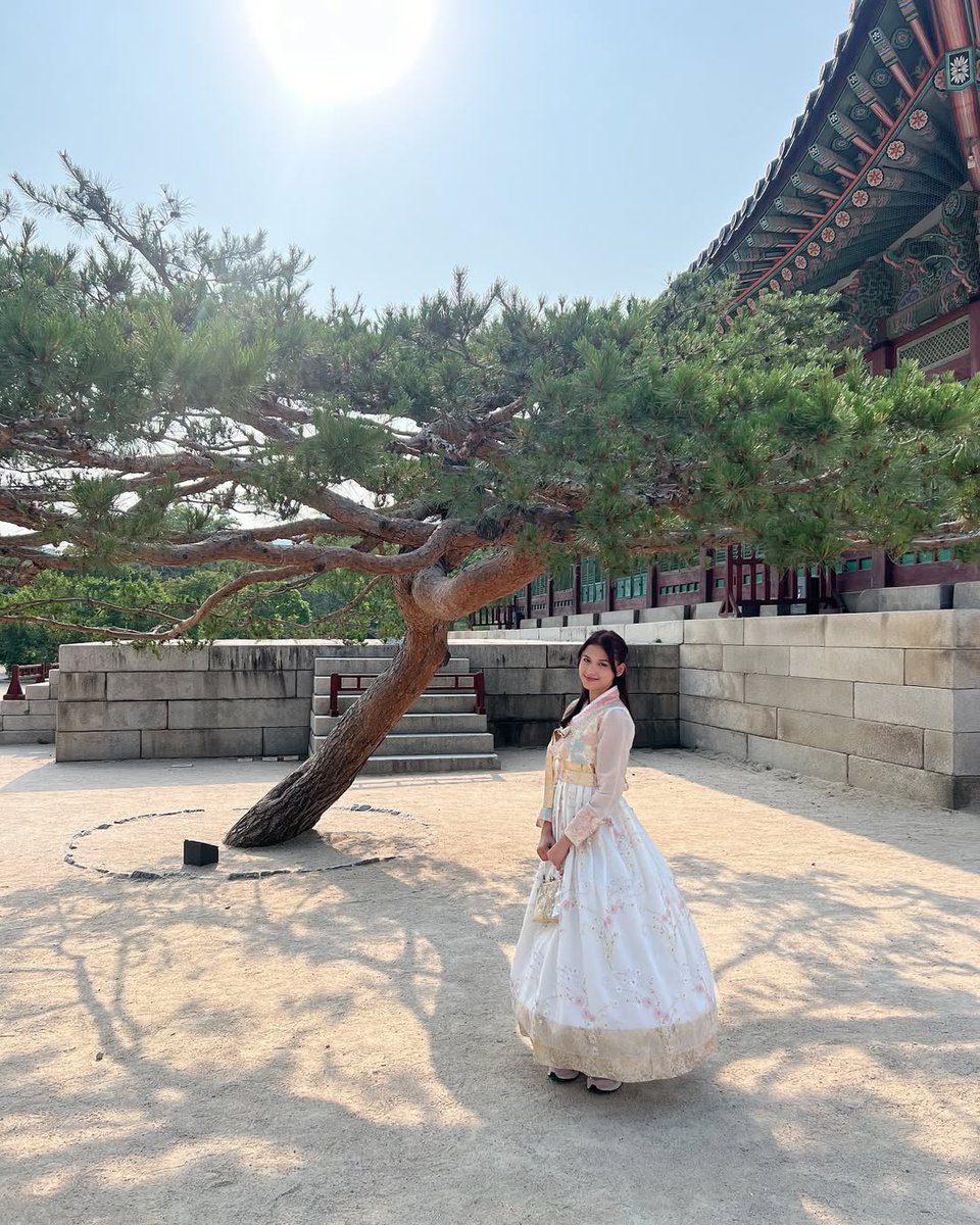 フライド・ポテトアライ tweet media