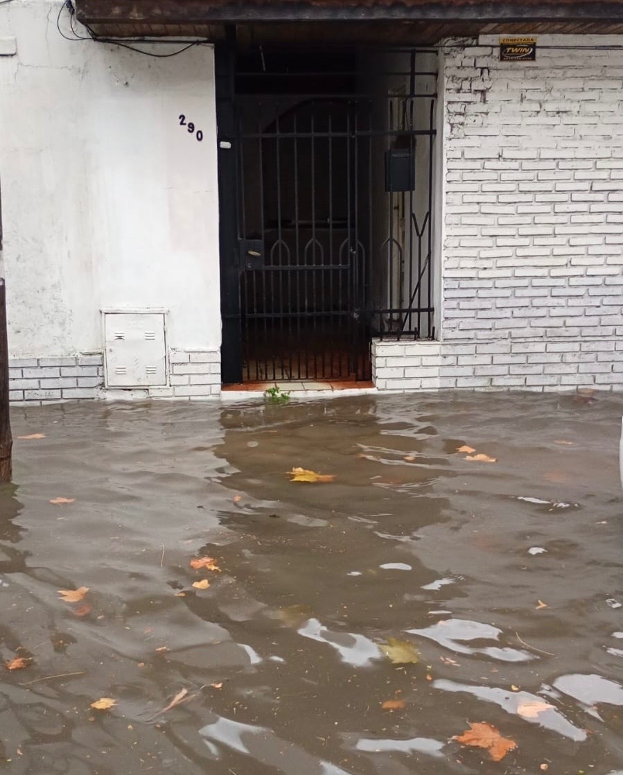 LucasYacob's tweet photo. Hola @jorgeferraresi espero que no estés regalando luminarias en Necochea ni haciendo campaña en Quilmes. Te necesitamos en Avellaneda, vení a destapar los sumideros que la gente se está inundando. https://t.co/daKUrvq6X5