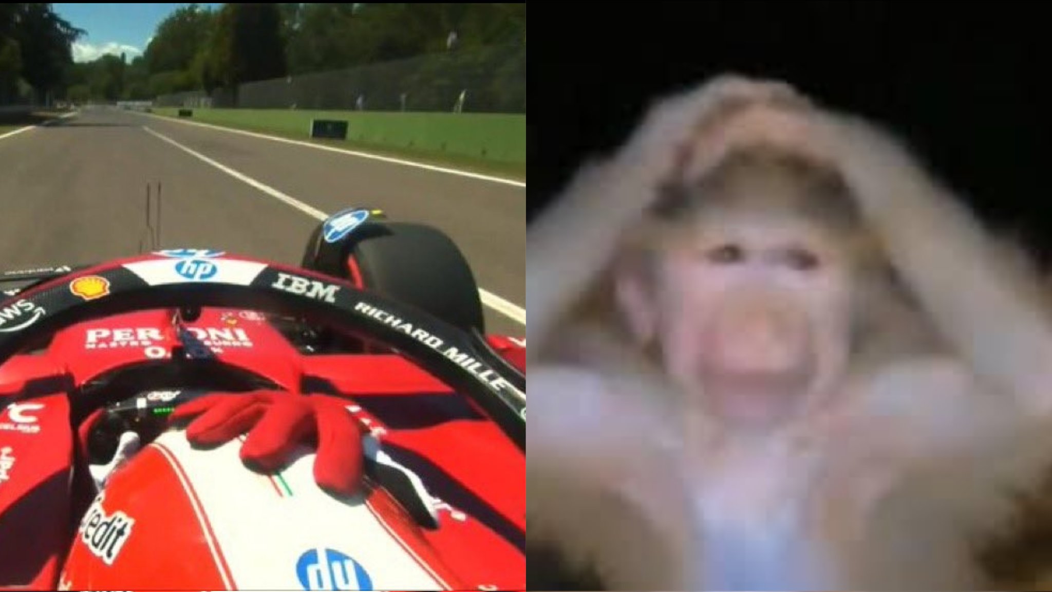 GrEqnFMaMAAI4to?format=jpg&name=large