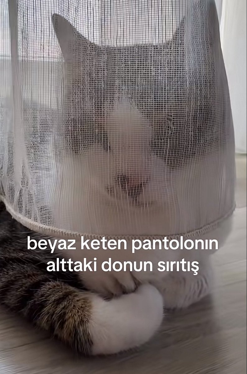 😔😔😔😔😔😔