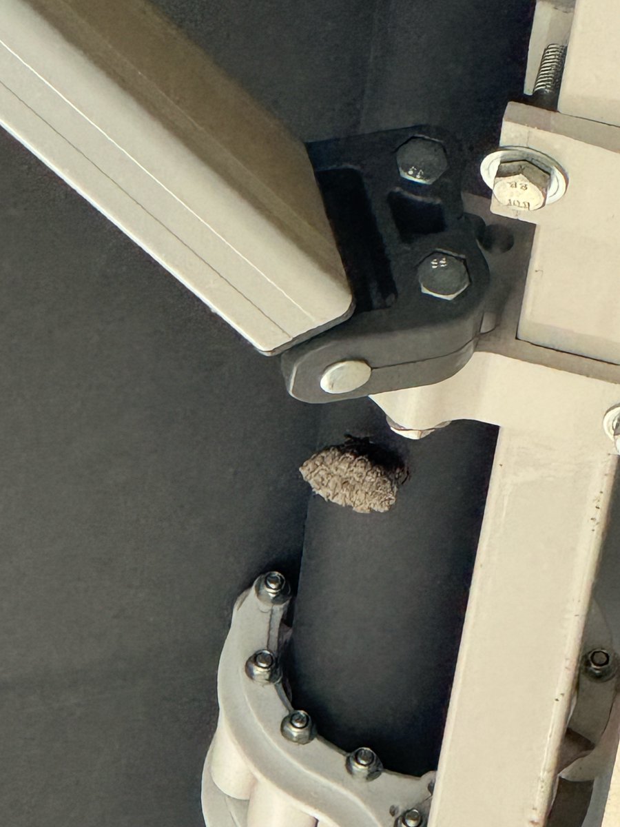 1127message's tweet photo. 250516 CHANYEOL 🍒💭

"But I found something interesting at home earlier today.. 🤓"

[sends pic]

"It might be a bit scary.."

"It's a beehive"

#찬열버블 https://t.co/BhIL9fzAZU