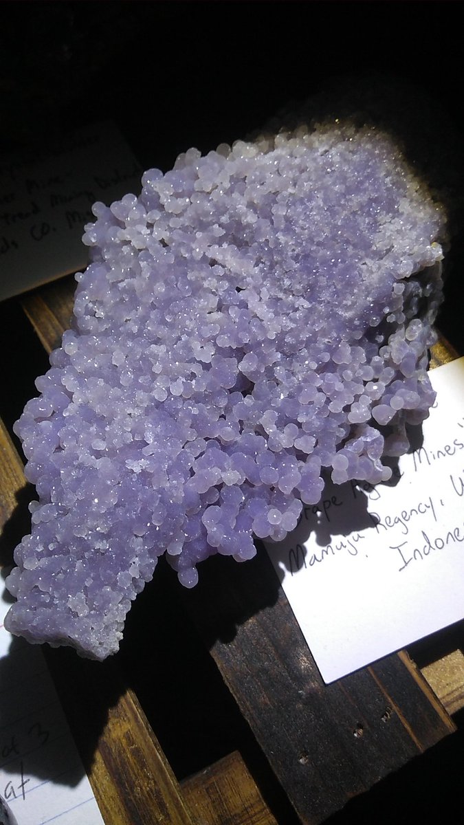 Tim Kai is~ tweet media