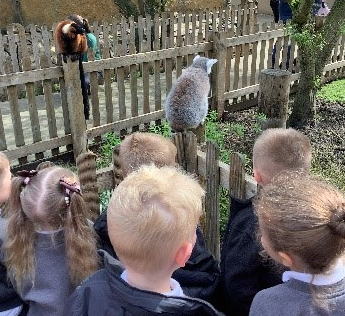 Isaac Newton Primary School tweet media