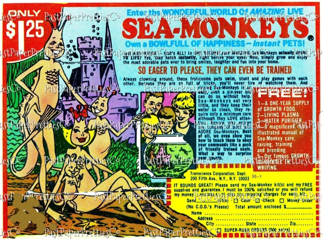 libertypeg's tweet photo. National
#SeaMonkeys Day
...I remember these ads from back in the day. Lil kid me thought they actually looked like this๐ https://t.co/SNjAEUMc7A