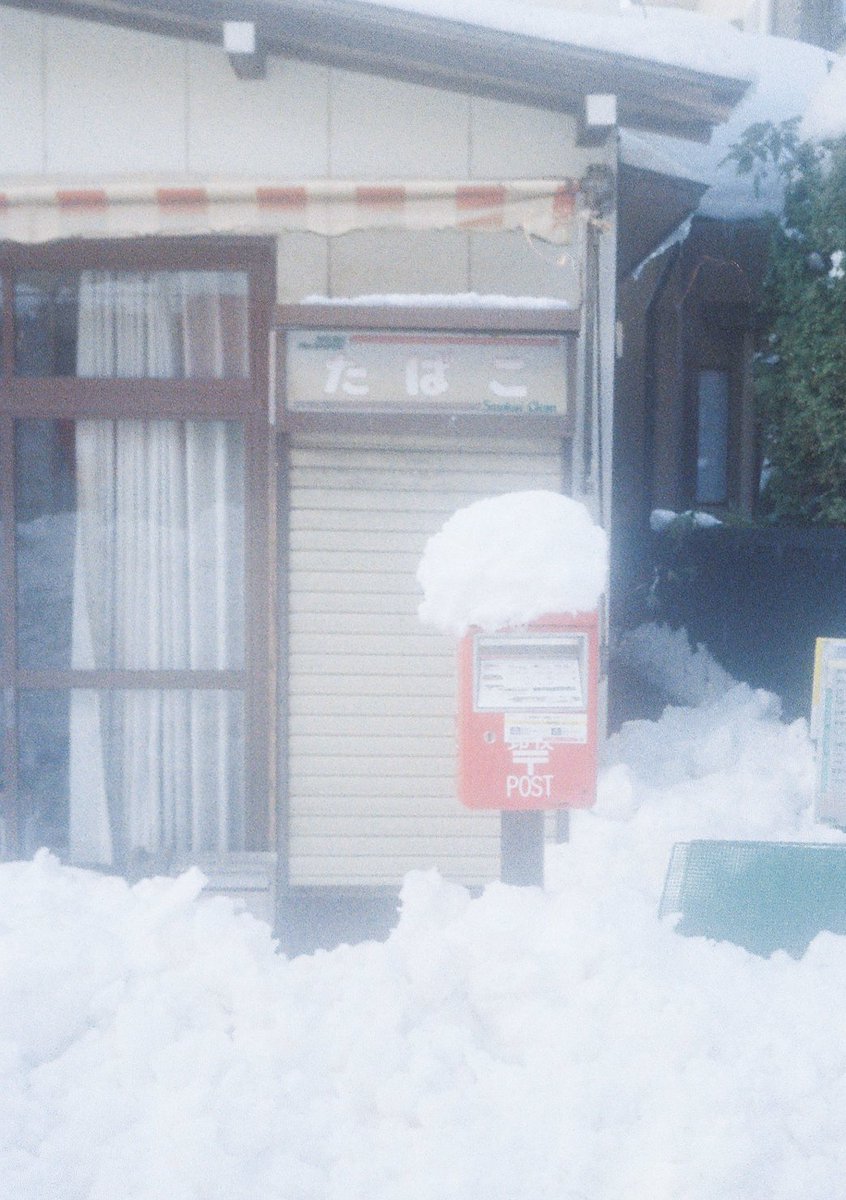 harf camera
#filmphotography