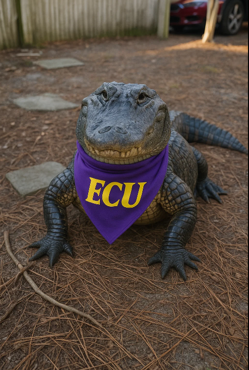 take_the_island's tweet image. This good boy is ready for a wild weekend. Friendly gator was happy to wear it! #goodboyfriday 🐊🐊