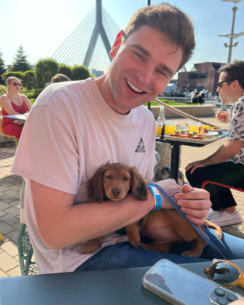 good dog tweet media
