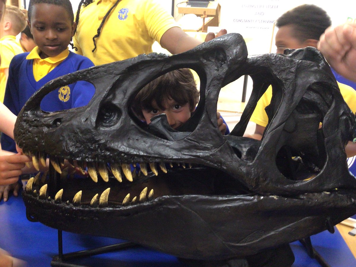 StMaryB17's tweet photo. #Y4 enjoying this afternoon’s dinosaur fossil workshop @ptaofstmarys #RRSA #Art29 https://t.co/tGguUv3roQ