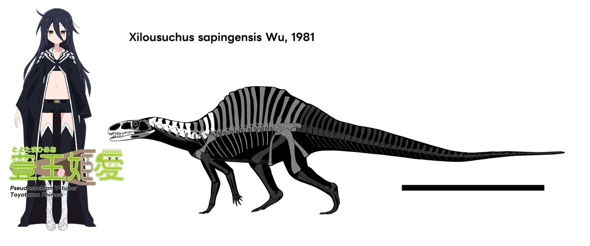 RT @Toyotamaphimea: シロウスクス Xilousuchus