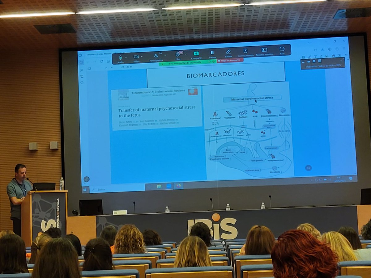 Inagural keynote at the <a href="/sociedadmares/">Marcé Española</a> <a href="/TheMarceSociety/">The Marcé Society</a>
Seville