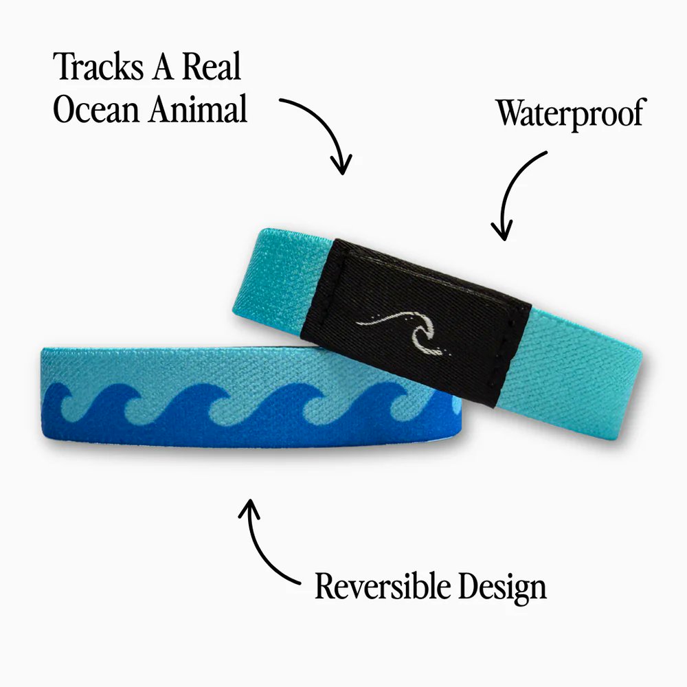 Chad Ross tweet media