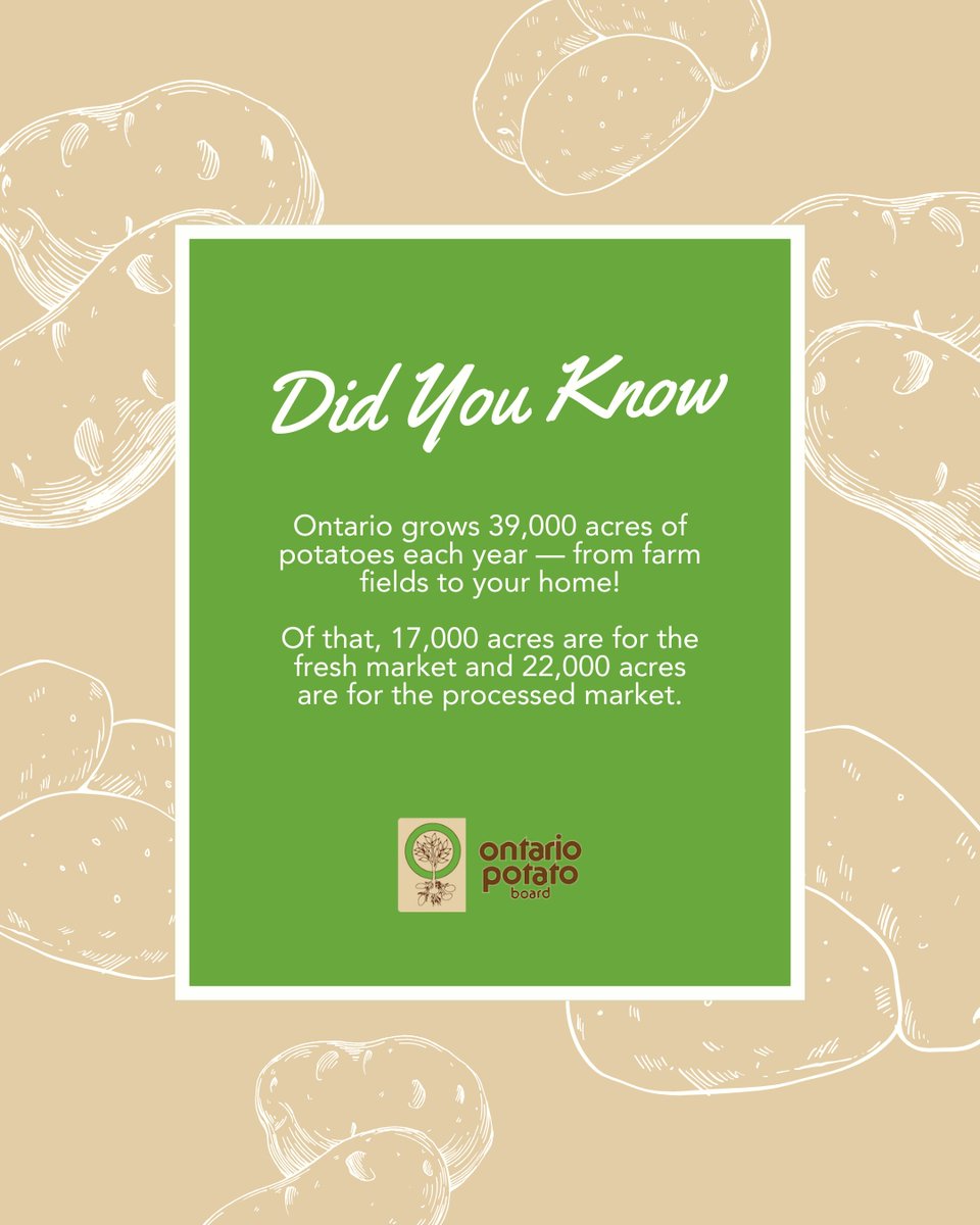 Ontario Potato #FunFact ✨🥔

Ontario farmers grow an incredible 39,000 acres of potatoes every year. Whether you're buying fresh or grabbing your favourite chips, it all starts here. #OntarioPotatoes