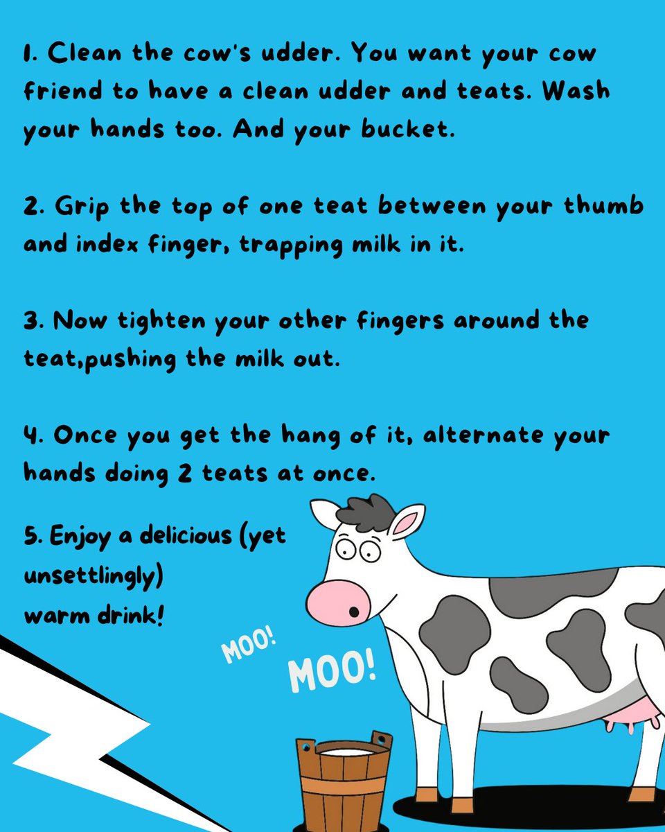 Ever wondered how to milk a cow? 🐄
That’s just one of the udderly brilliant facts you’ll find in this jam-packed book written by Mike rampton and illustrated by Gareth Williams 🧠✨
This brilliant book hits shelves on 22 May – get ready to upgrade your brain!