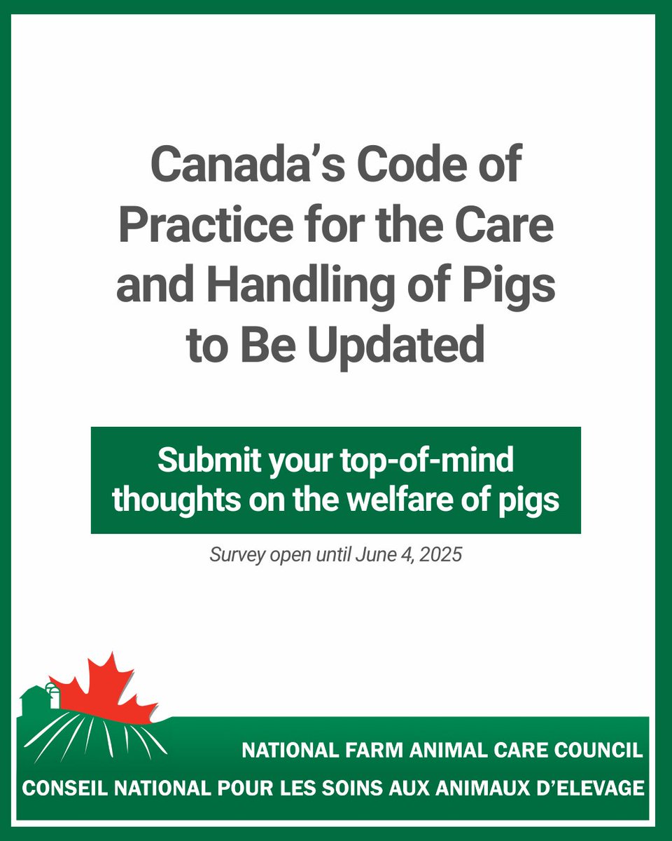 Animal Health Canada | Santé animale Canada (@ahc_sac) on Twitter photo The Canadian Pork Council (<a href="/cdnpork/">CanadianPorkCouncil</a>) is updating the Code of Practice for pig care, guided by NFACC’s Code development process.
Have your say in a short survey on pig welfare.
🗓️ Survey closes June 4, 2025
🔗 Participate here: nfacc.ca/codes-of-pract… The Canadian Pork Council (<a href="/cdnpork/">CanadianPorkCouncil</a>) is updating the Code of Practice for pig care, guided by NFACC’s Code development process.
Have your say in a short survey on pig welfare.
🗓️ Survey closes June 4, 2025
🔗 Participate here: nfacc.ca/codes-of-pract…